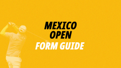 Image for Mexico Open form guide